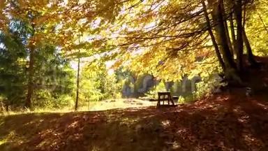 秋山林野餐桌.. 享受宁静的坐姿.. 宁静的自然之地，风景之景.. 黄金奖